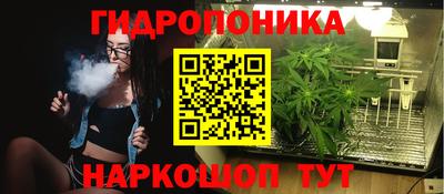 мдма Кингисепп