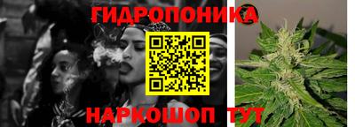 мдма Кингисепп
