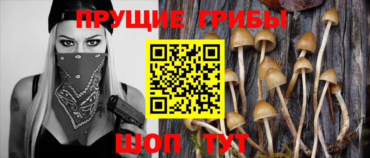 Галлюциногенные грибы мицелий  Псилоцибиновые грибы Psilocybe  закладка  Вход с VPN  Лесозаводск 